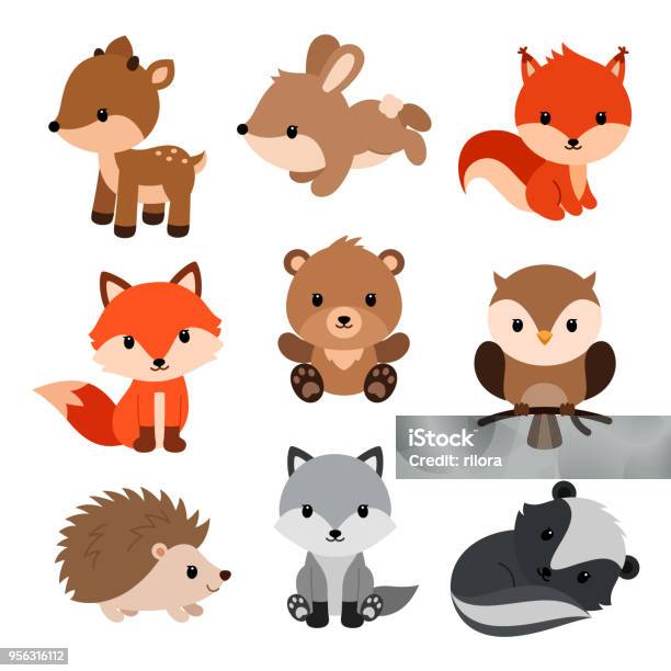 Woodland Animals Set Stock Illustration - Download Image Now - Animal,  Cute, Fox - iStock