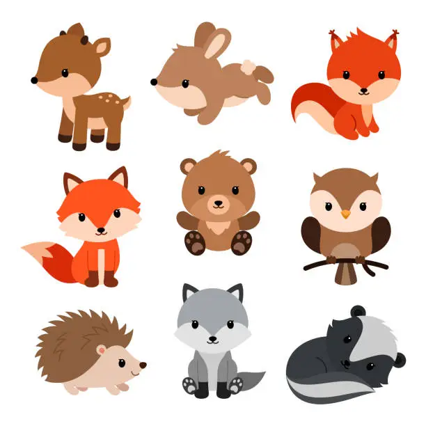 Vector illustration of Woodland animals set.