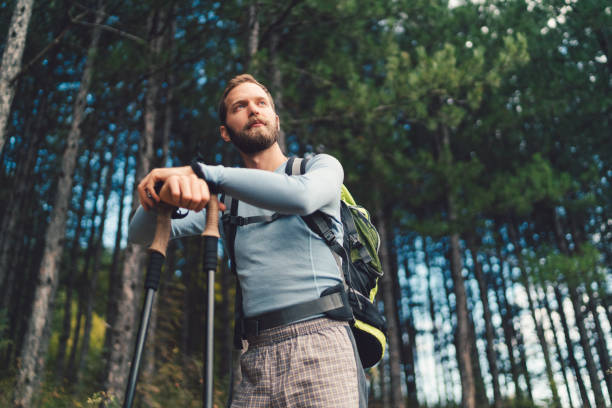 istock Hiker in the forest looking at view 956316194