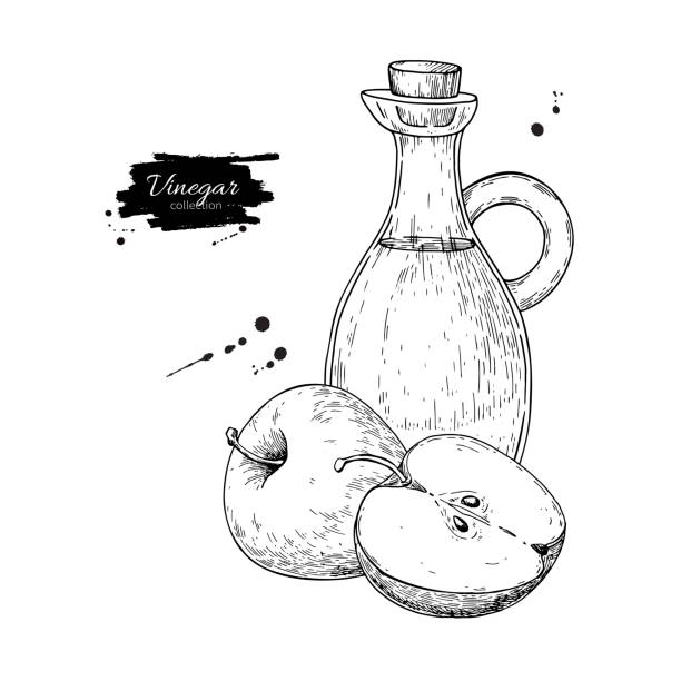 rysunek wektorowy octu jabłkowego.  ręcznie rysowana ilustracja. szklane bo - balsamic vinegar vinegar bottle container stock illustrations