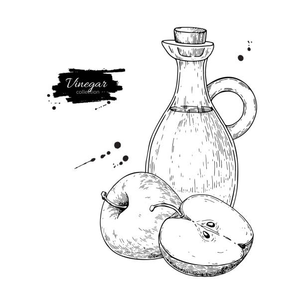 ilustrações, clipart, desenhos animados e ícones de vetor de vinagre de maçã de desenho.  ilustração da mão desenhada. vidro bo - balsamic vinegar vinegar bottle container