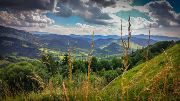istock The land of Ukraine 956326326
