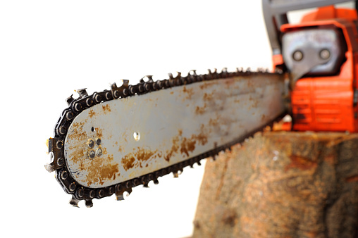 Close up of chain saw on tree trunk aginst white background,shallow depth of field.