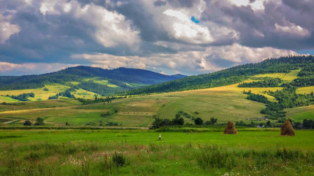 istock The land of Ukraine 956329550