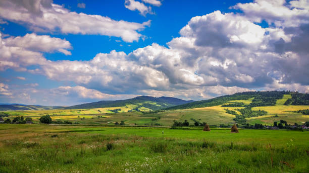 istock The land of Ukraine 956329558