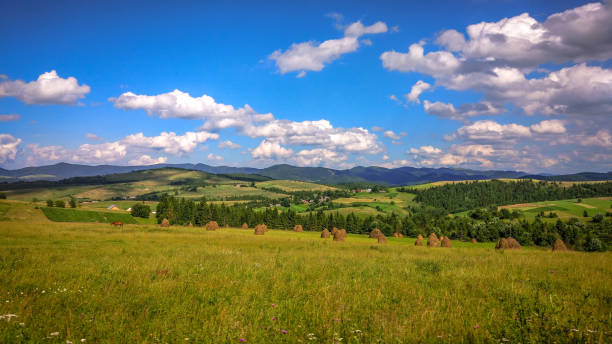 istock The land of Ukraine 956330180