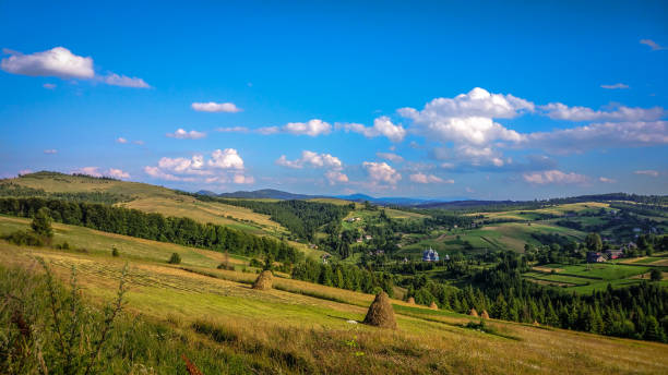 istock The land of Ukraine 956330544