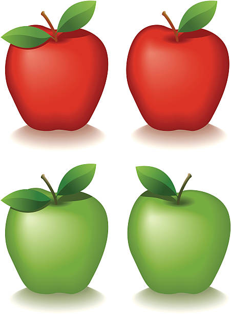 Apple - Illustration vectorielle