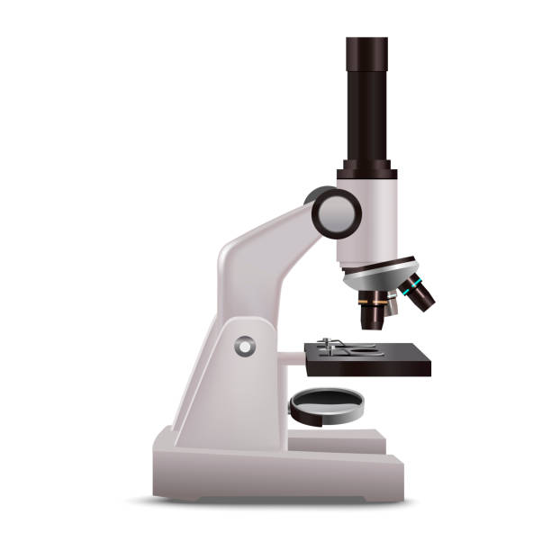 ilustrações de stock, clip art, desenhos animados e ícones de realistic detailed 3d laboratory microscope. vector - microscope view