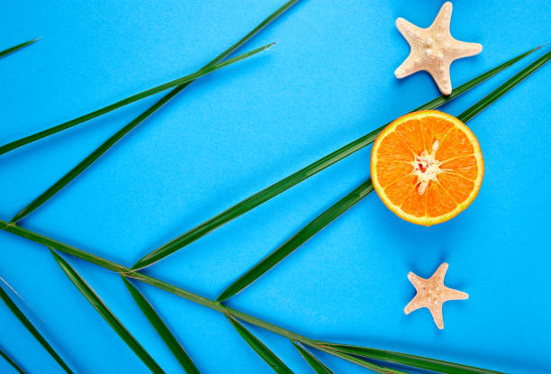 istock Orange fruit, starfish and palm leaves 956345112