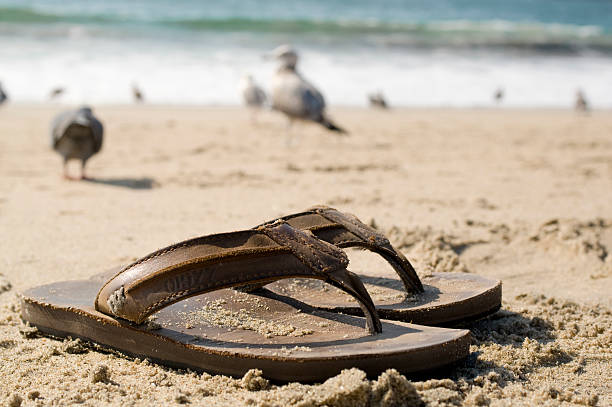 Sandals on the Beach stock photo