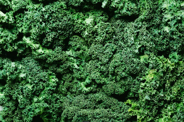 istock Fresh organic green kale background, selective focus, top view, copy space. Green texture 956353632
