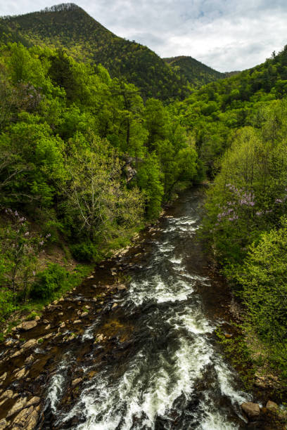 istock Doe River and the Blue Ridge Mountains 956357118