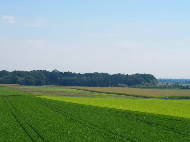 istock Rural Scenes of Czech republic 956361468