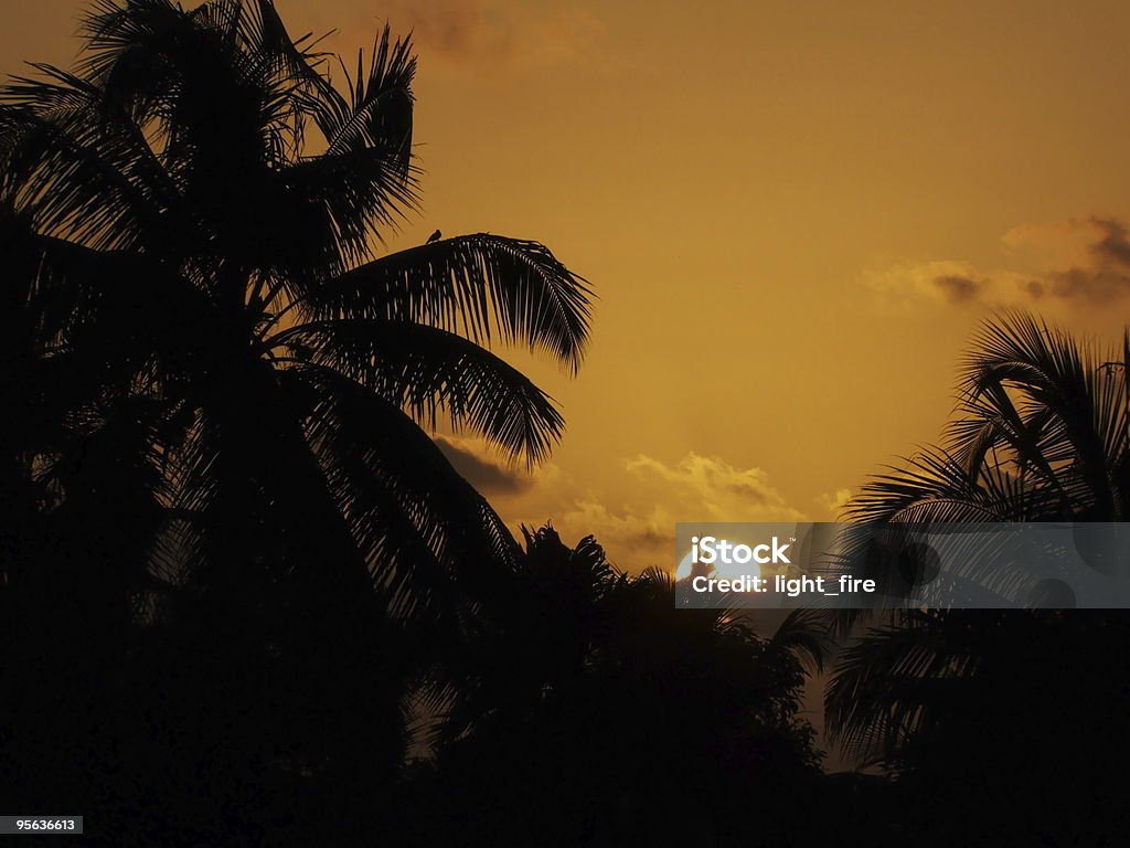 sunset at kochi  Cloud - Sky Stock Photo