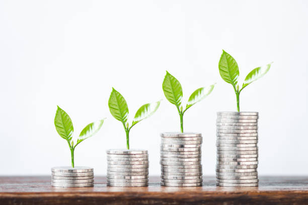 istock Money growth coin silver and tree young hand   White background and Old silver pocket watch clock 956366384