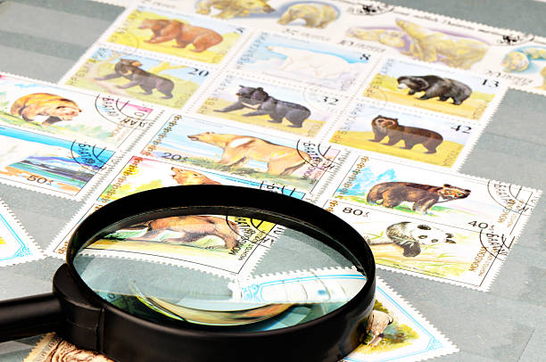 istock Postage stamp album 95636952