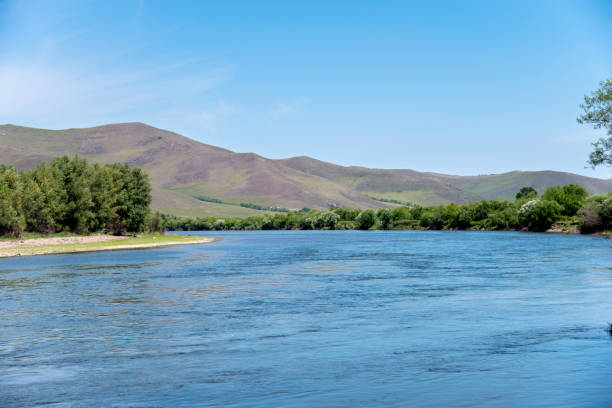istock Scenic view of a lake and trees 956372076