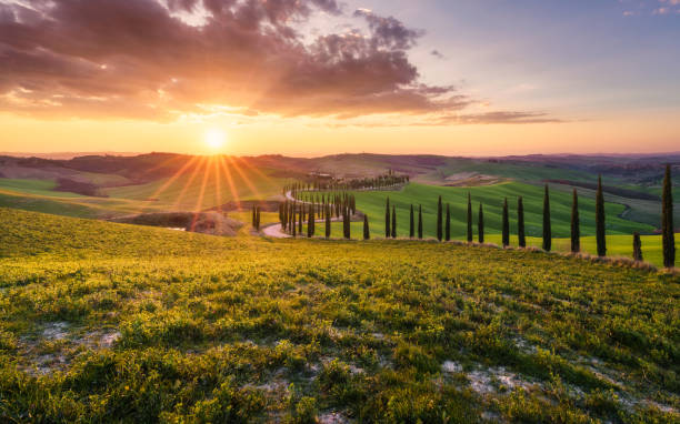 istock Tuscan sunset, Val D'orcia, Siena, Tuscany, Italy 956376644