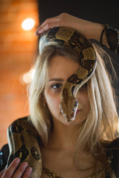 istock Portrait of beautiful young woman with a python on face 956377284