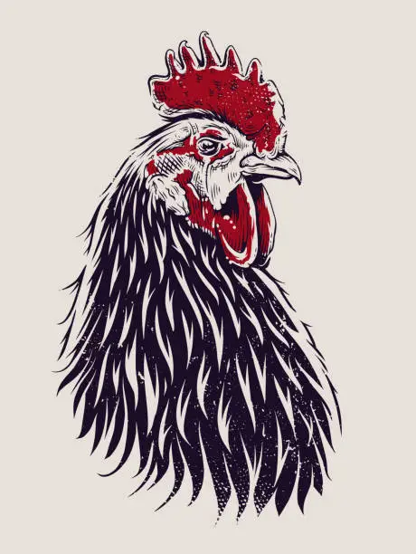 Vector illustration of Vector Rooster Illustration