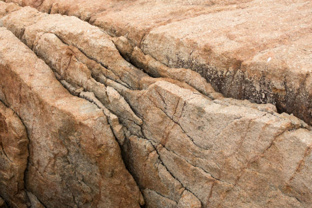 istock Natural background - stone at beach 956379446