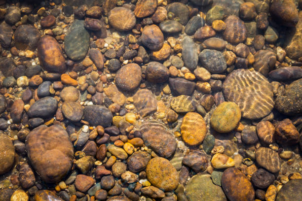 istock Underwater natur concept background 956387058