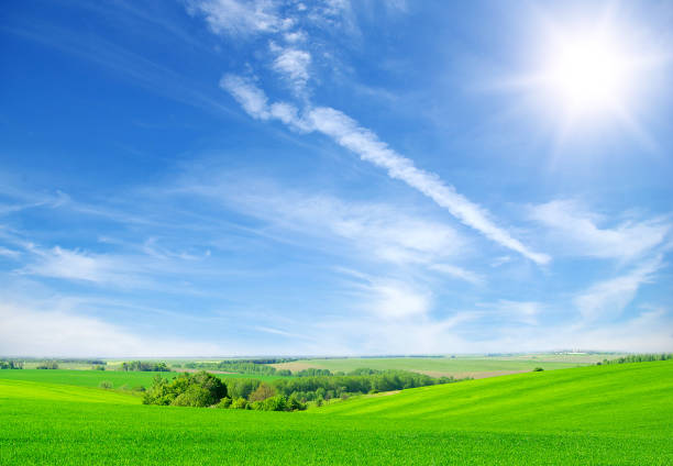 istock green field and blue sky 956391402
