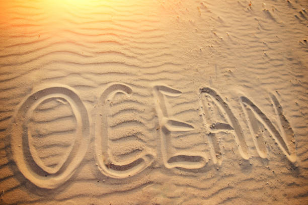 istock the word ocean is written in the sand 956396152