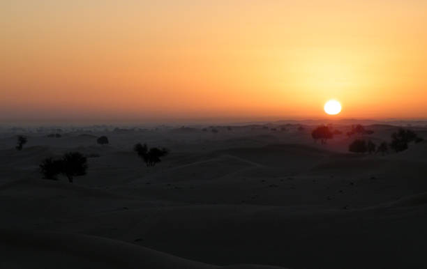 istock Sunset over the desert 956396960