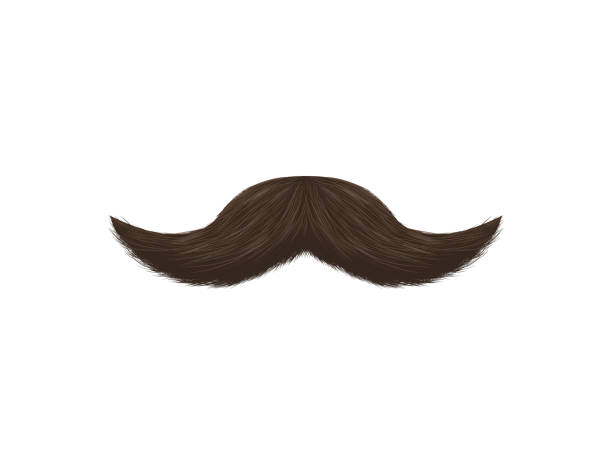 illustrations, cliparts, dessins animés et icônes de réaliste détaillée 3d noir fausse moustache. vector - fake mustache