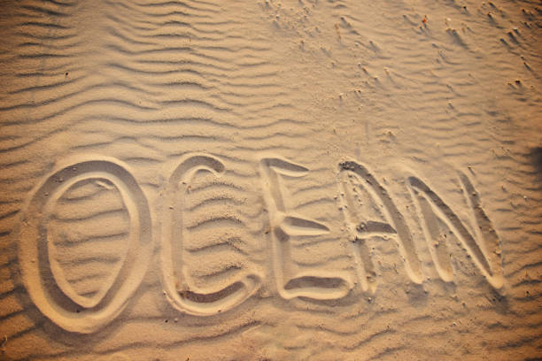 istock the word ocean is written in the sand 956401596