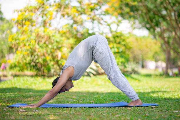 istock Focused yogi exercising on park grass 956402918