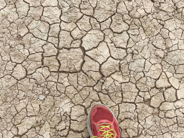 istock Tennis shoe on parched earth 956410468