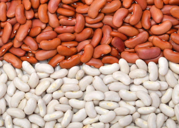 istock red beans and cannellini alubias on background 956411382
