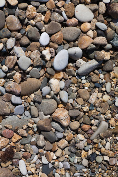 istock Sea shells, corals, pebble stones for background 956411398