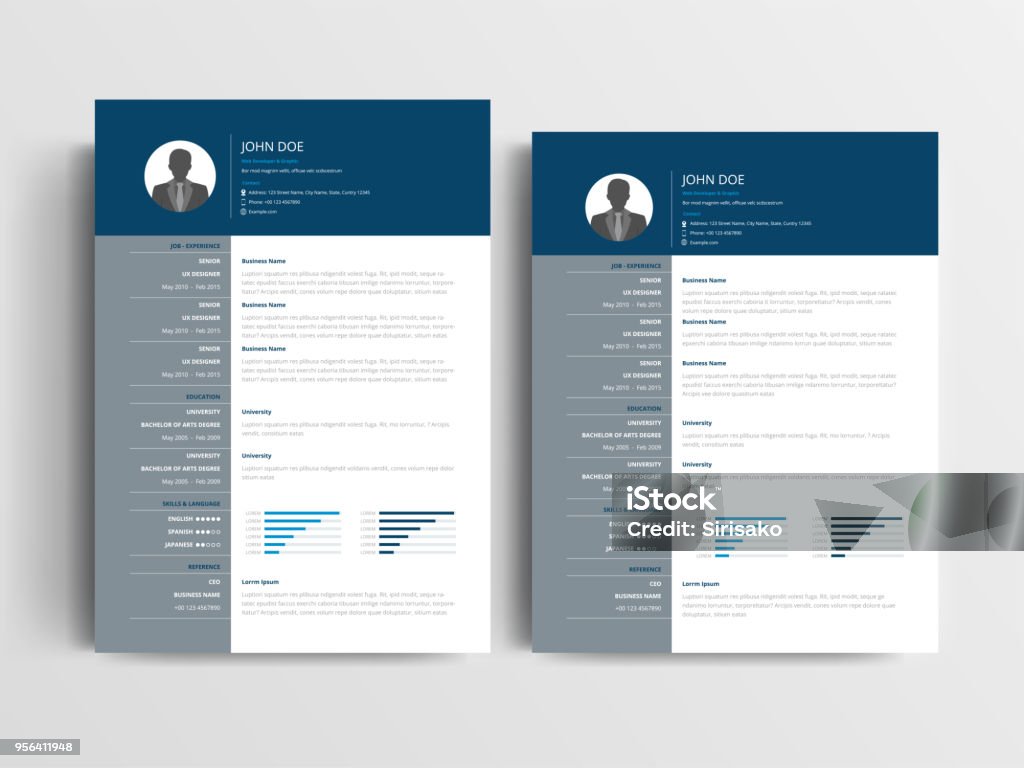 A Modern resume layout with a dark blue header and gray, left-aligned sidebar element. A4 and US letter sizes Vector Illustration Résumé stock vector