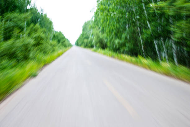 Driving road in the forest.