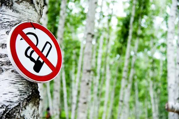 Photo of No smoking sign in forest