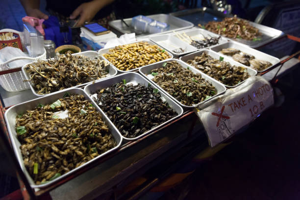 istock Travel to Thailand 956420940