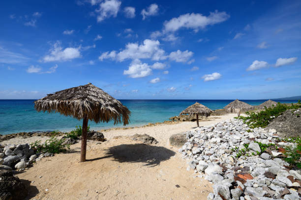 istock Sand beaches in Cuba 956425798