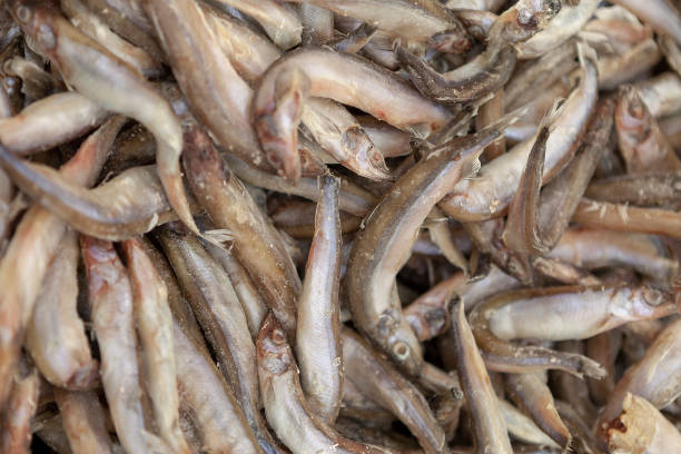 istock Frozen fish laid out evenly as a background. 956431730