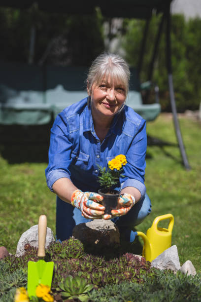 istock Lady work in the garden 956432362