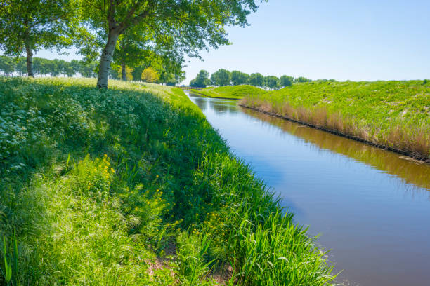 istock Canal in the countryside in sunlight in spring 956435738