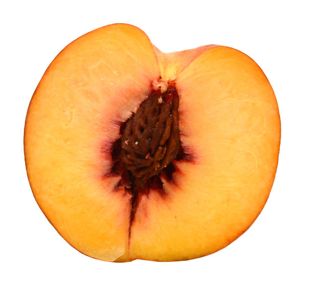 Peache on a twig isolated