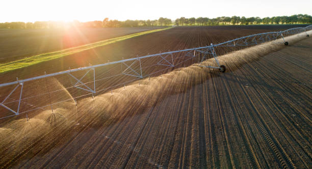 istock Center pivot irrigation system in field 956444208