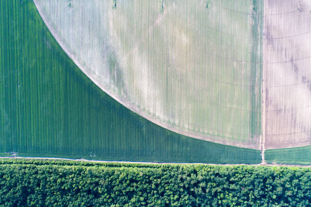 istock Top view of agricultural fields 956444398