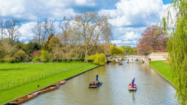 ludzie punting na rzece cam, cambridge - punting zdjęcia i obrazy z banku zdjęć