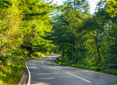 An S bend on a winding section of country road in the UK.