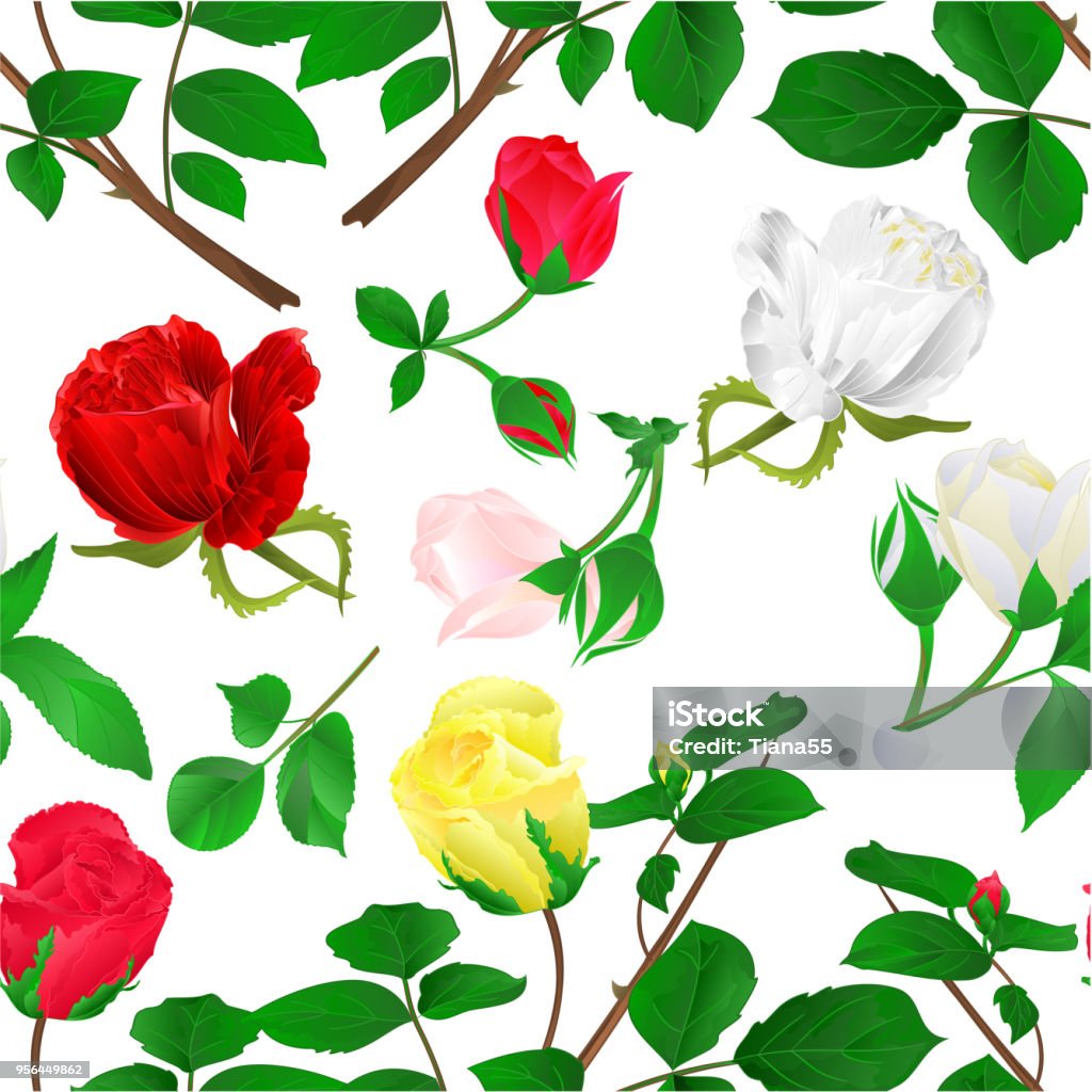 원활한 텍스처 Rosebuds 빨간색 노란색 흰색 줄기 잎과 꽃에 흰색 배경 빈티지 벡터 일러스트 편집 가능한 가시에 대한 스톡 벡터  아트 및 기타 이미지 - Istock